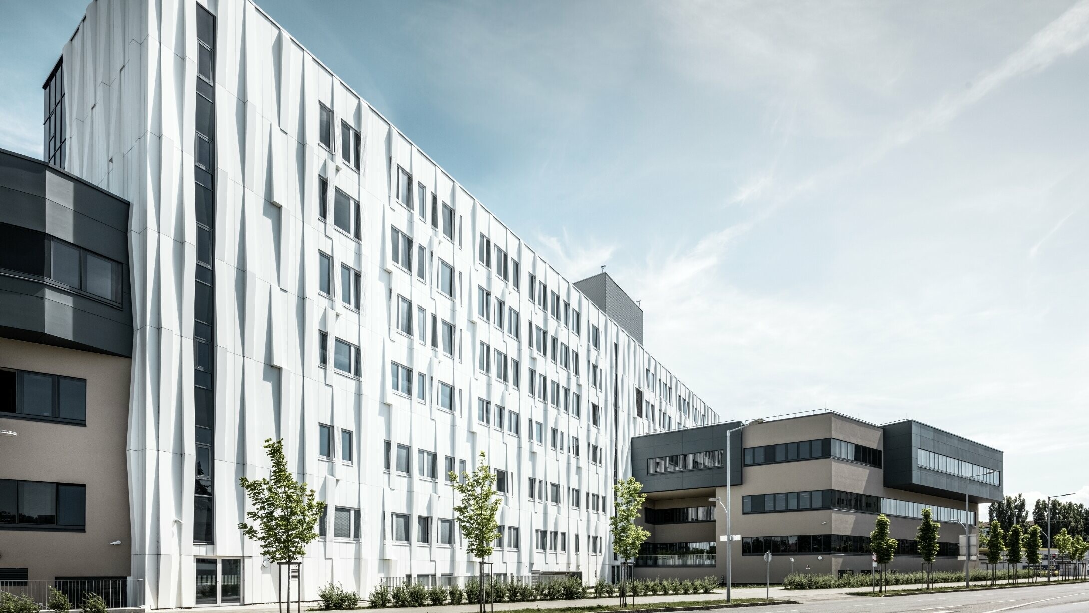 Lateral view of the University hospital. A street with some trees can be seen in the foreground.